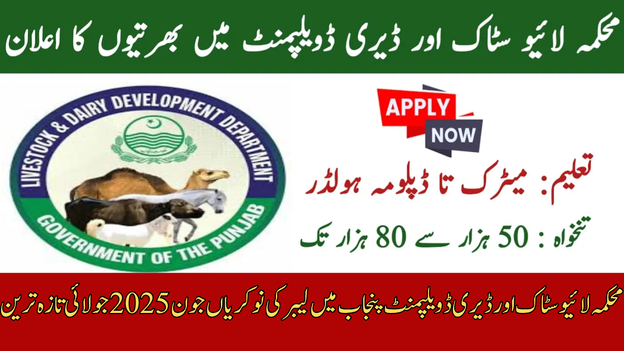 Labour Jobs in Livestock and Dairy Development Department Punjab