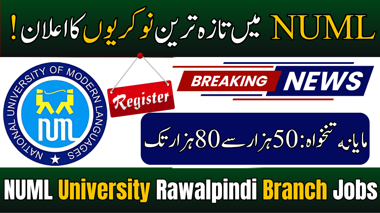 NUML University Rawalpindi Branch Jobs
