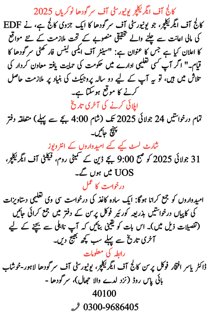 College of Agriculture University of Sargodha Jobs 2025