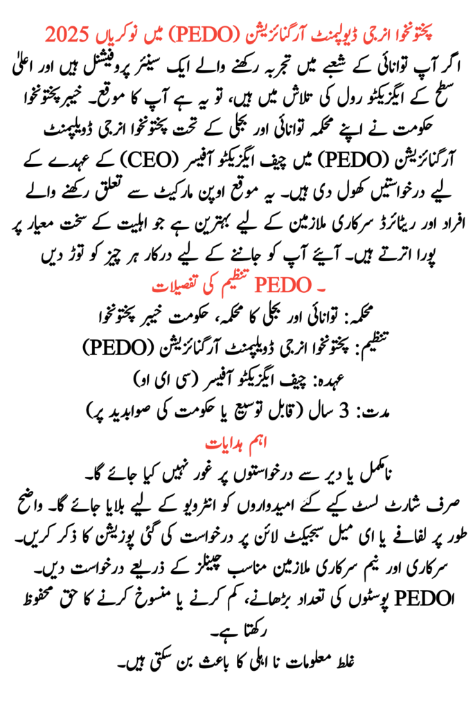 Pakhtunkhwa Energy Development Organization (PEDO) Jobs 2025 