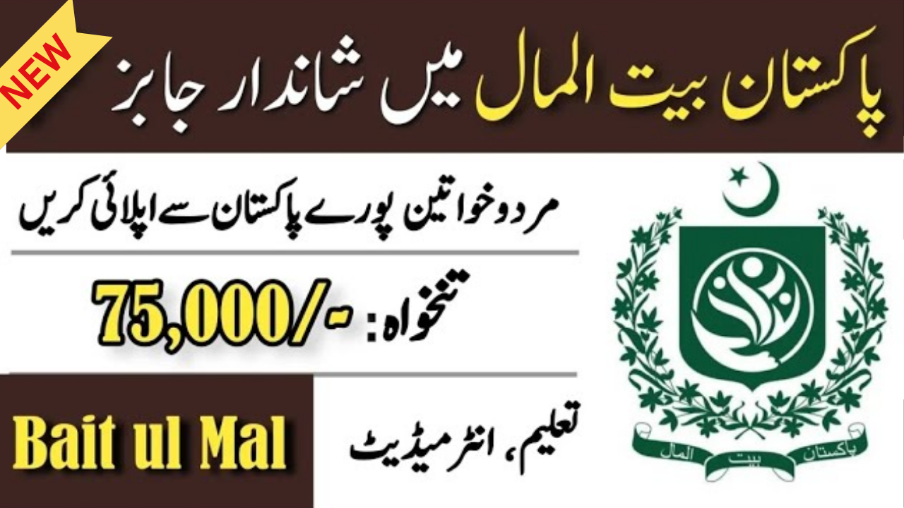 Social Welfare & Bait Ul Maal Jobs