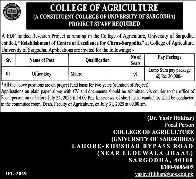 College of Agriculture University of Sargodha Jobs 2025