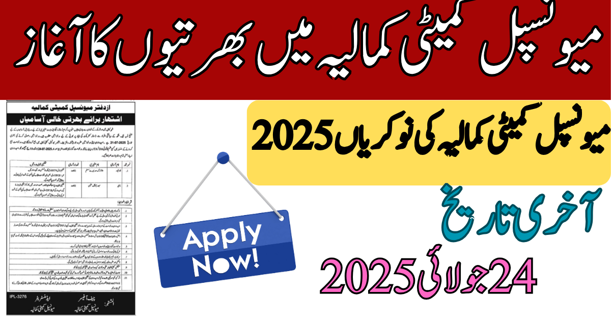 Municipal Committee Kamalia Jobs