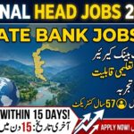 Regional Head Jobs in Private Bank 2026 | Apply Online for Latest Banking Careers in AJK