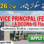 Allied Schools Peshawar Jobs 2026 for Vice Principal