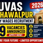 CUVAS Bahawalpur Daily Wages Jobs 2026 – 49 Vacancies Announced