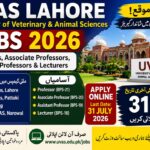 UVAS Lahore Jobs 2026 | Lecturer, Assistant Professor, Associate Professor & Professor | Apply Online