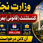 Latest Ministry of Privatisation Consultant Jobs 2026