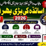 Punjab Daanish Schools Jobs 2026 | Latest Teaching Jobs | Apply Before 20 July