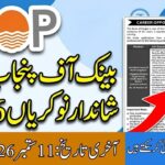 Bank of Punjab BOP Jobs 2026