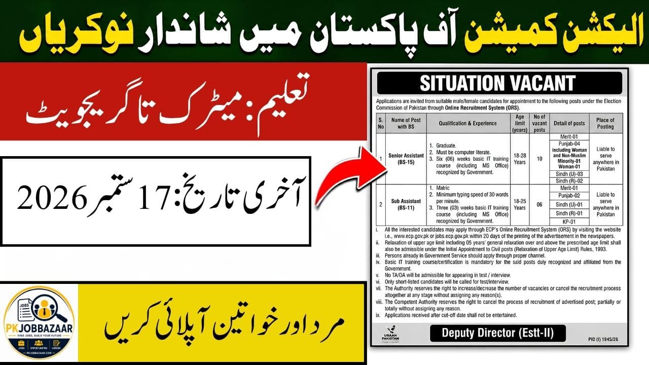 ECP Jobs 2026