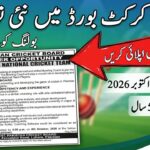 Pakistan Cricket Board PCB Jobs 2026