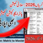 Higher Education Commission Jobs 2026